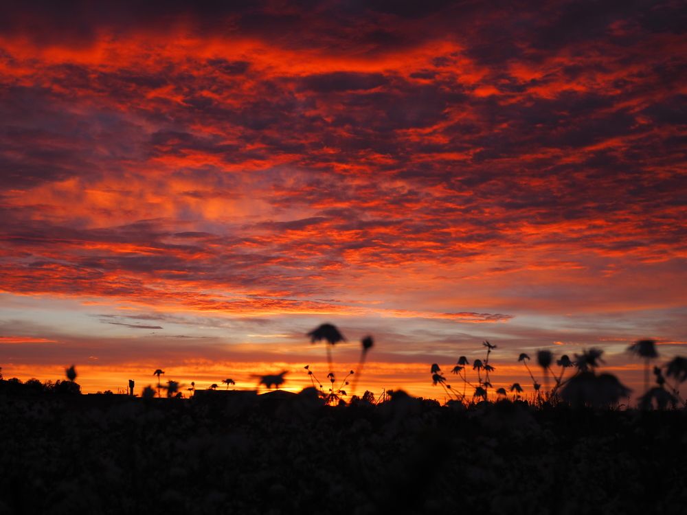 Photograph by Екатерина Бердутина