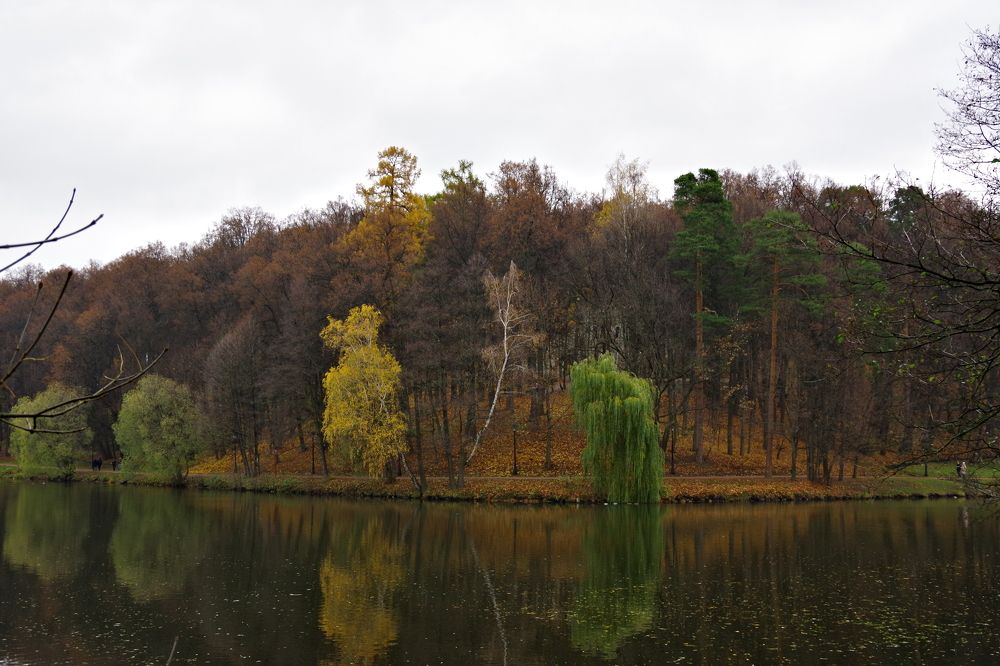 Грустная осень