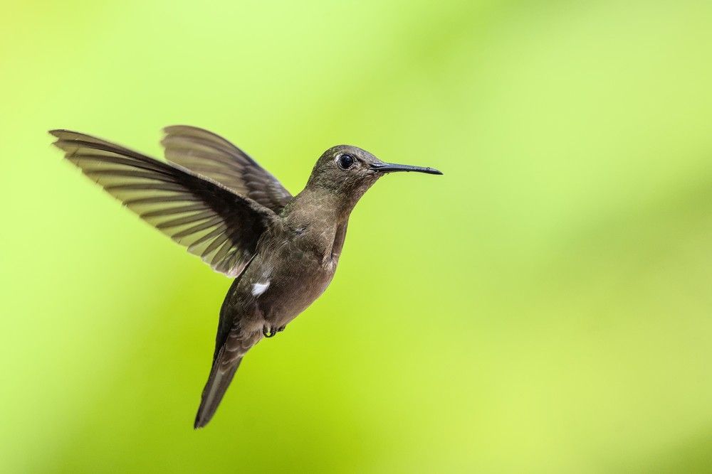 Photograph by Eduardo Bom