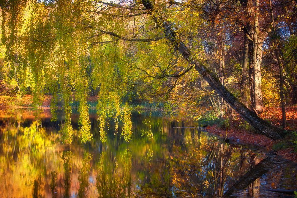 Photograph by Аседач Александр