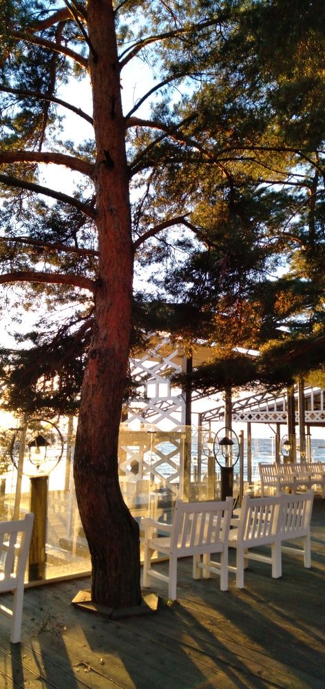 Photograph by Любовь Макарова