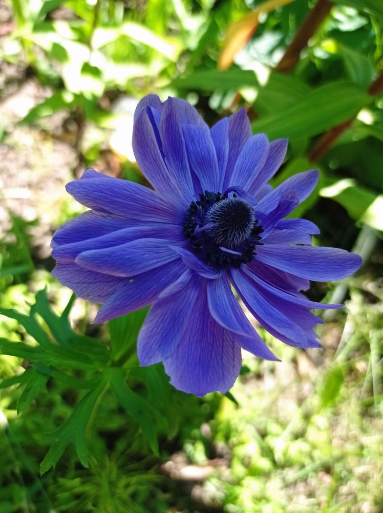 Photograph by Наталья Стальмакова