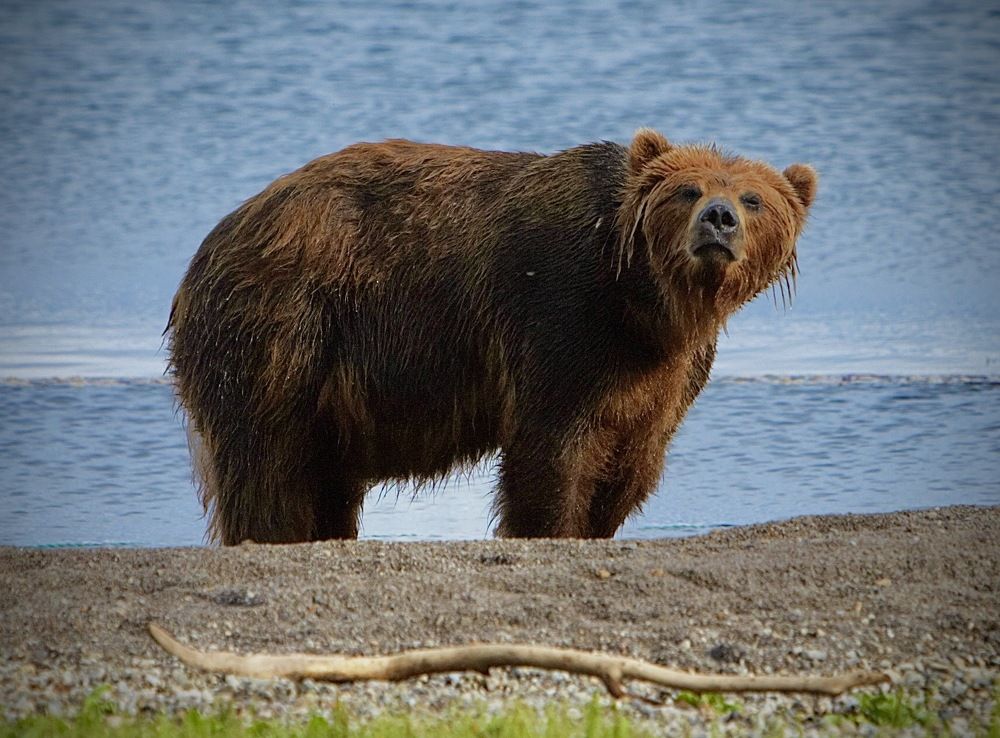 Photograph by Алексей Романов