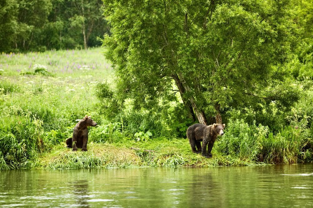 Photograph by Алексей Романов