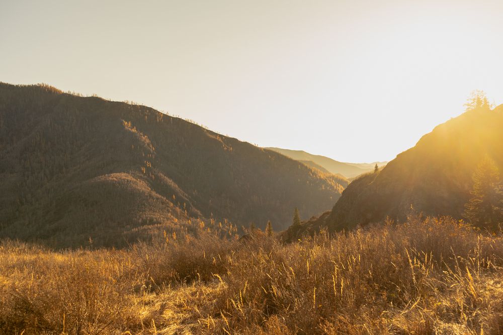 Photograph by Денис Карачёв