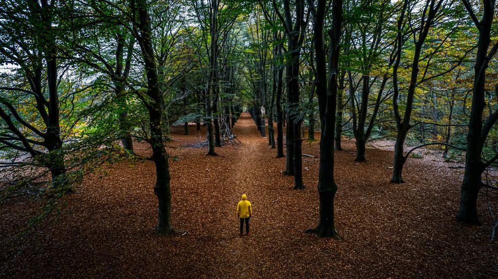 Фотография автора Paweł Sierpiński