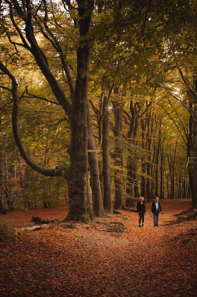 Фотография автора Paweł Sierpiński