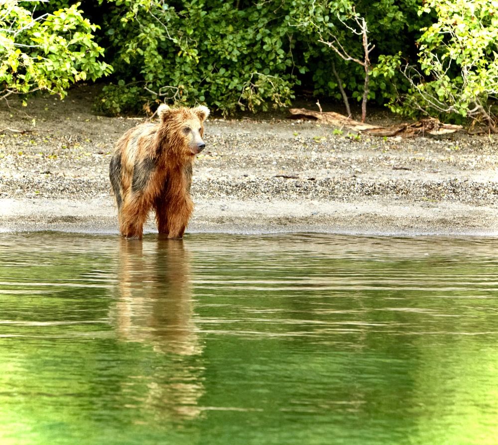 Photograph by Алексей Романов
