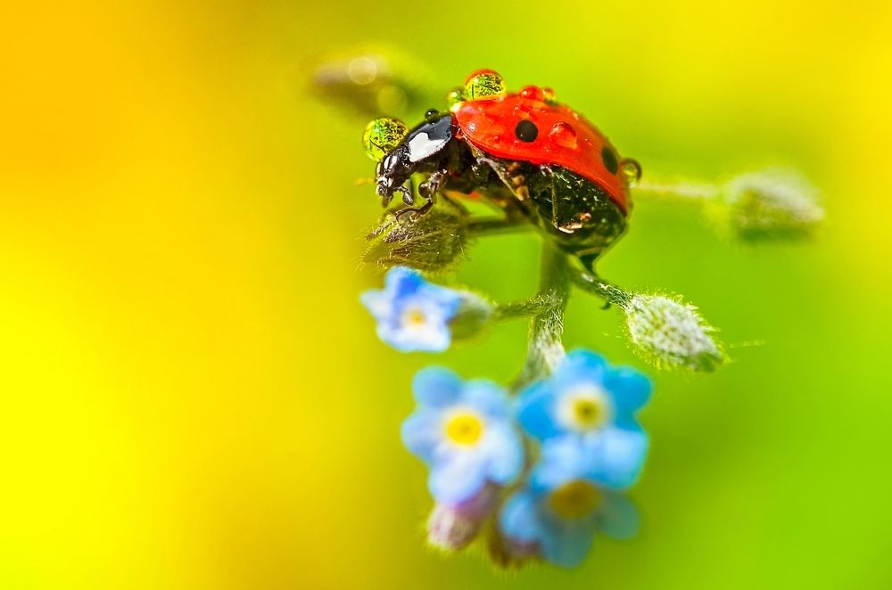 Photograph by Kveta Novotna