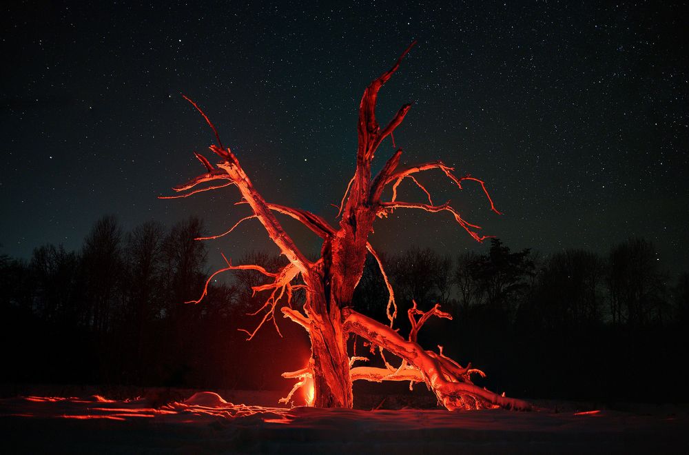 Photograph by Лутовкин Артём