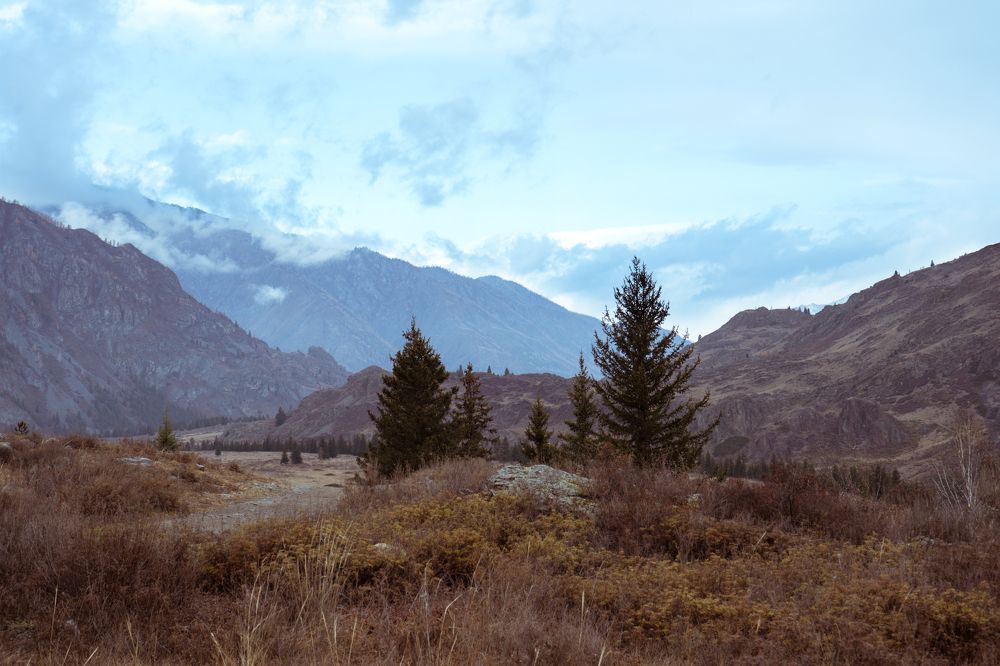 Photograph by Денис Карачёв