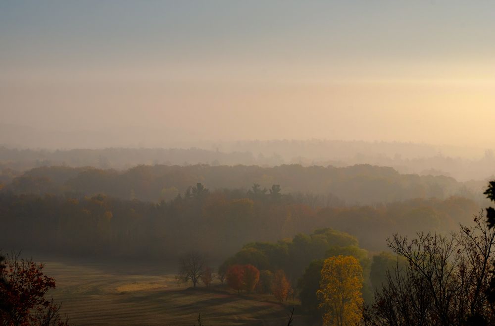 Photograph by Greg Noakes