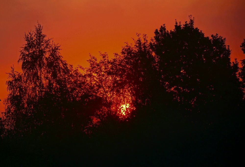 Photograph by Михаил Трусов