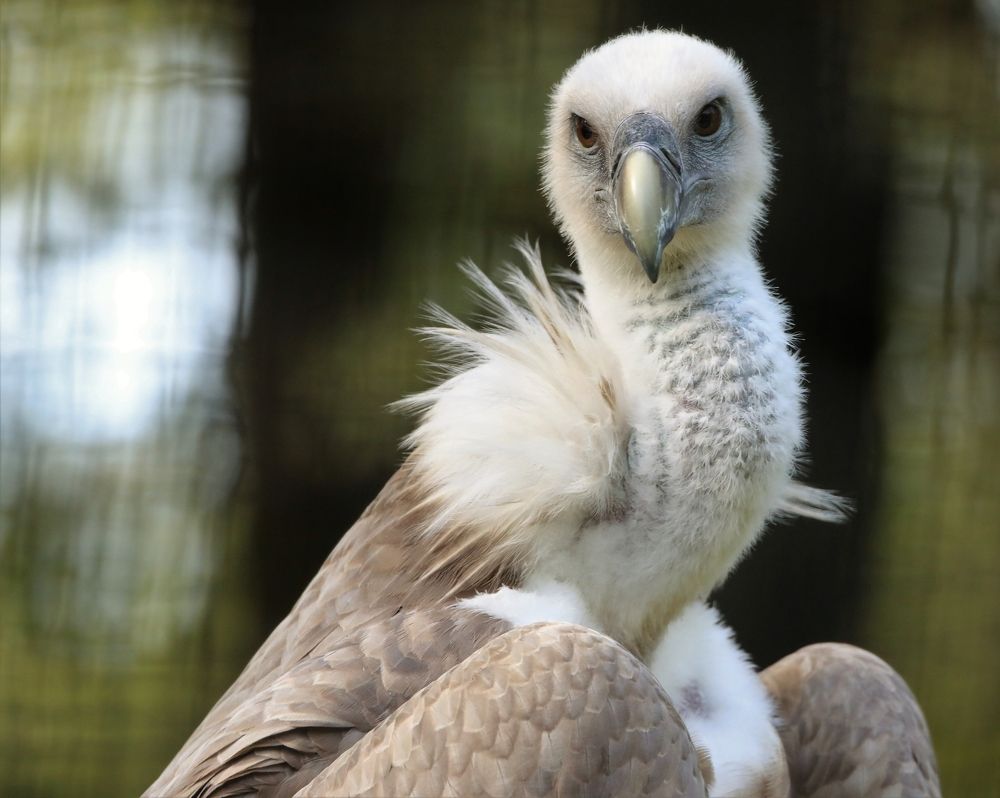 Photograph by Anja kroes