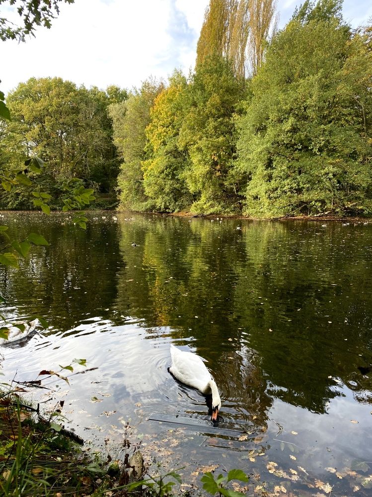 Photograph by Анастасия Тирская