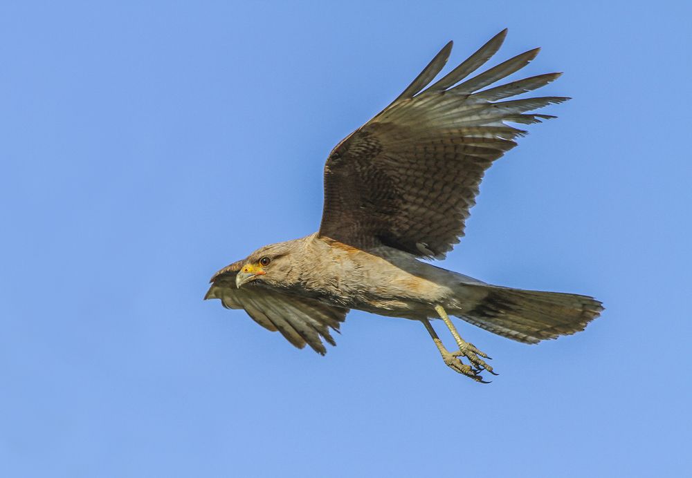 Фотография автора Marina