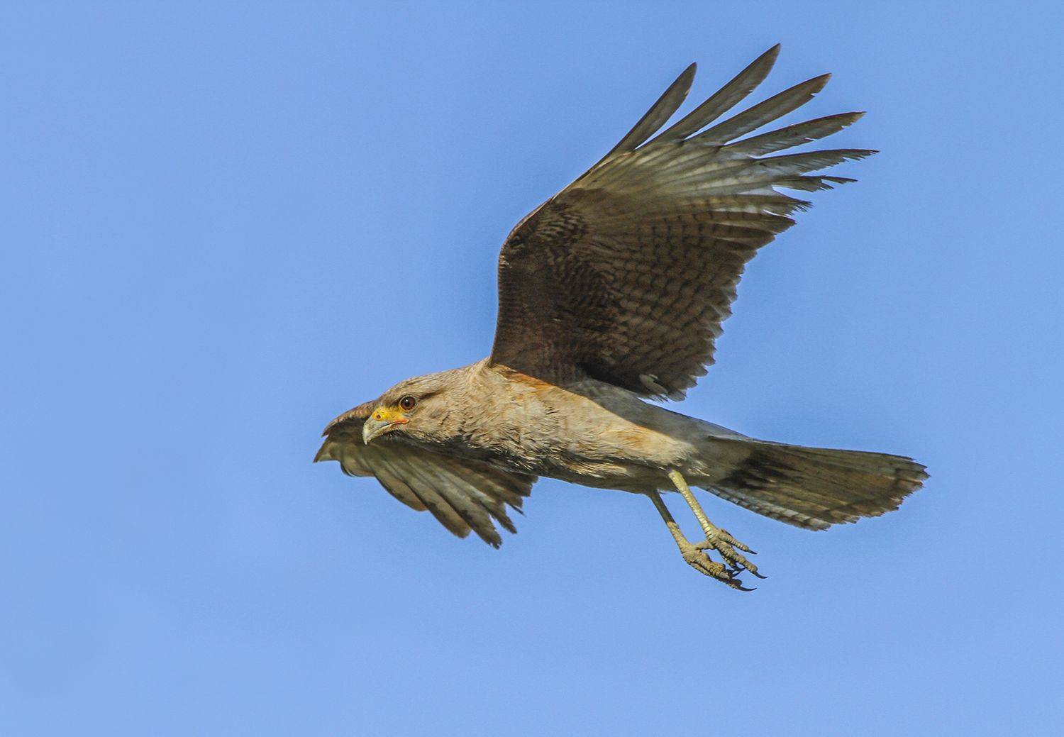 Фотография #8278675