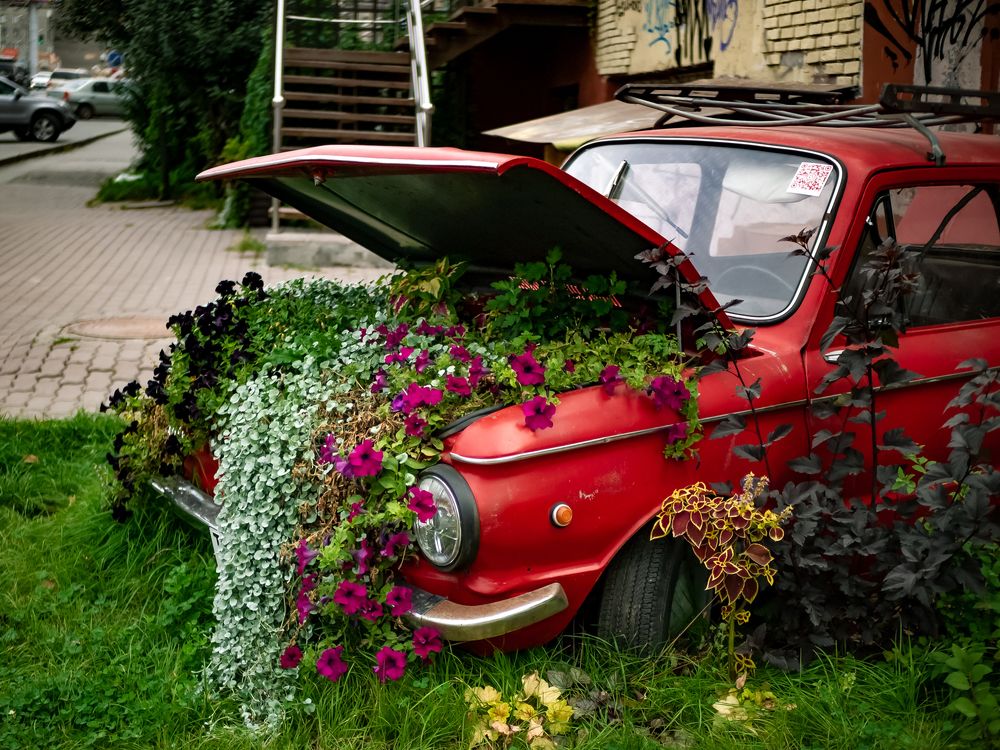 Photograph by Елена Берсенёва