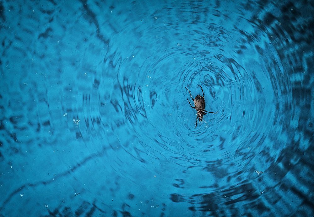 Фотография автора Marina