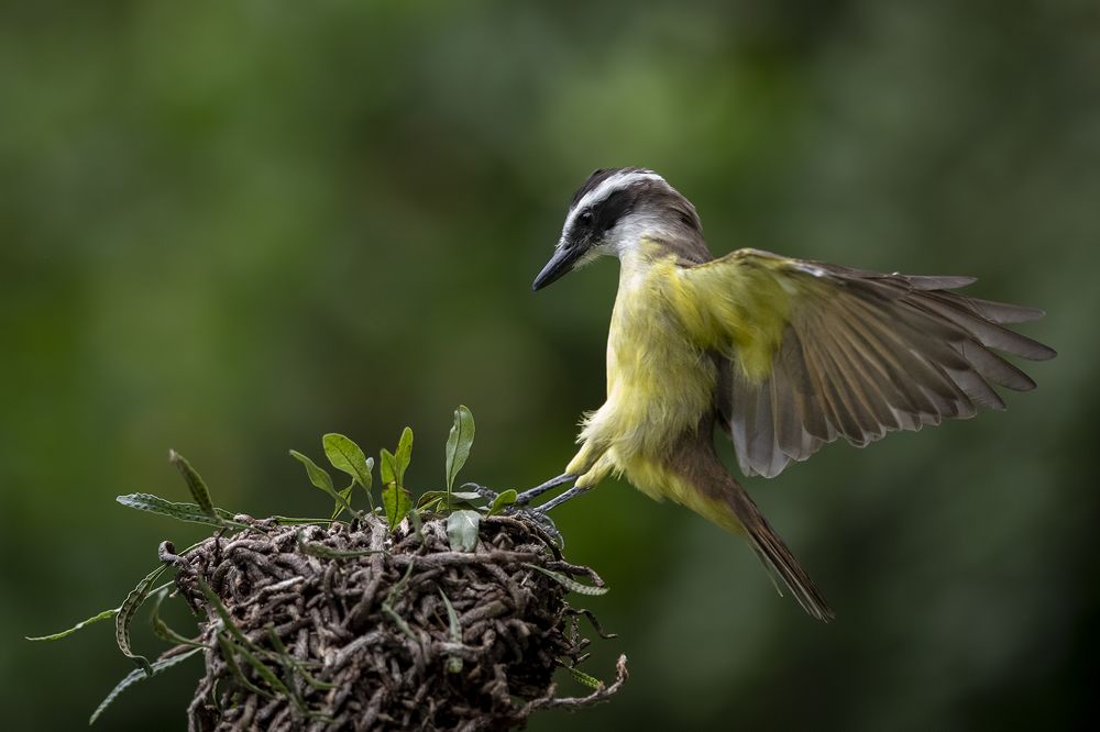 Photograph by Esteban Argerich