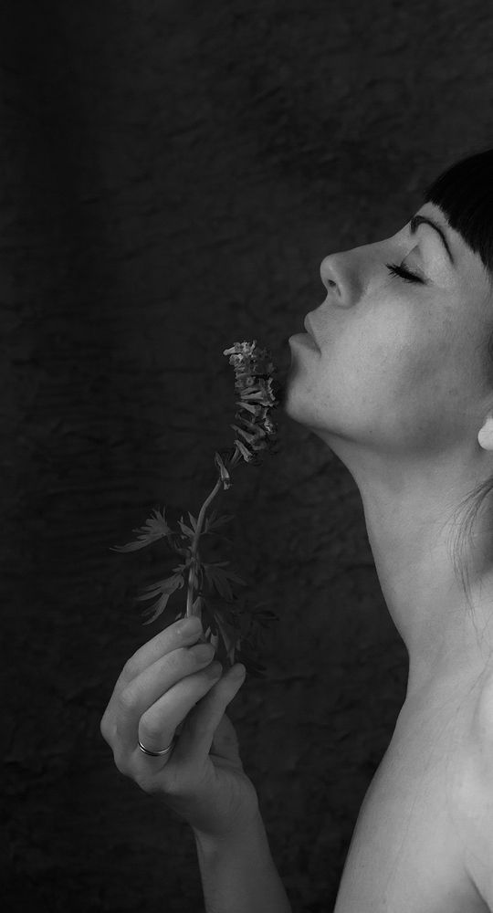 Photograph by Тамара Морозова