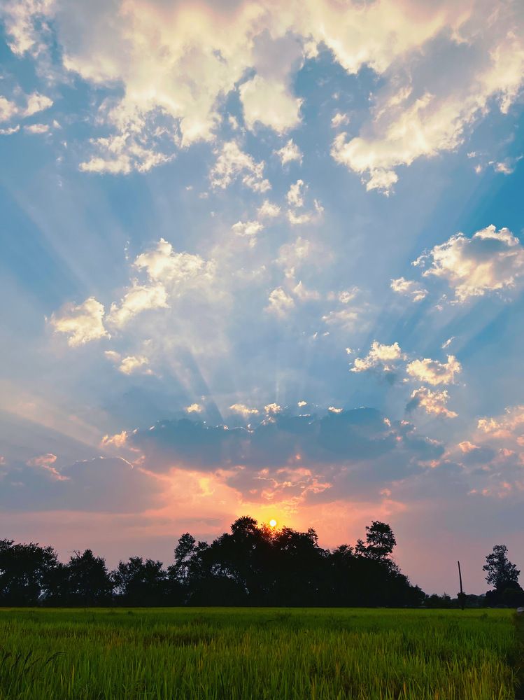 Photograph by Kanhaiya lal Yadav