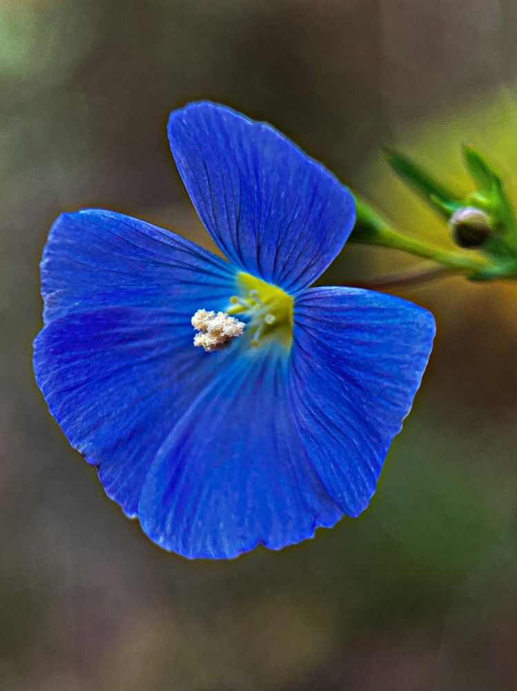 Photograph by Александра Гонтарь