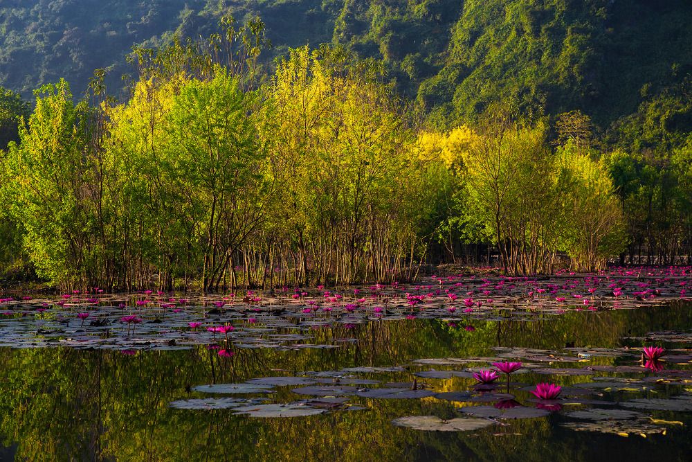 Photograph by Nguyễn Anh Tuấn