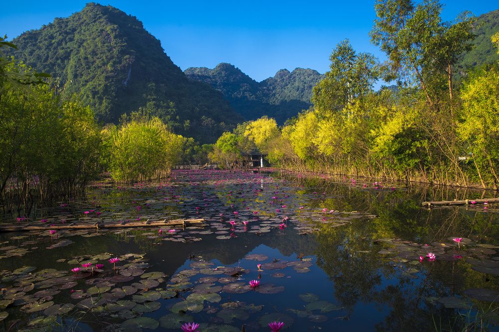 Фотография автора Nguyễn Anh Tuấn