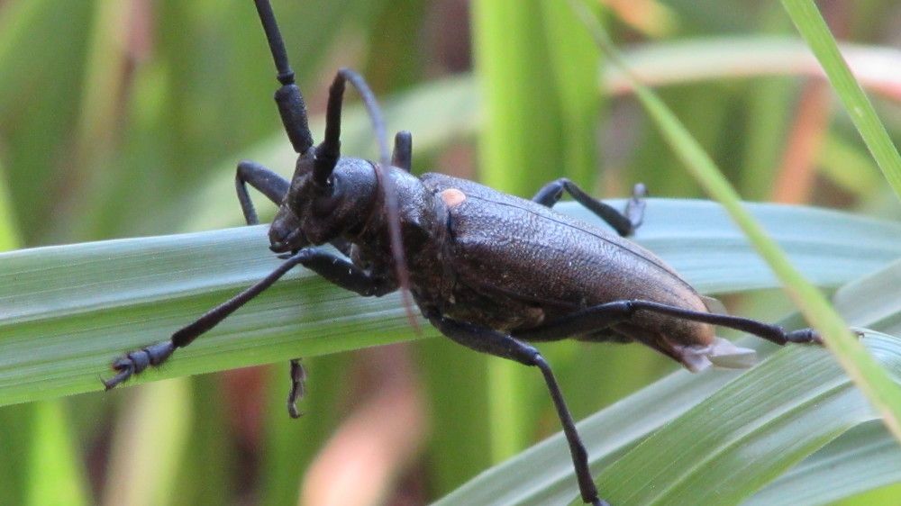 Photograph by Мария Глухова