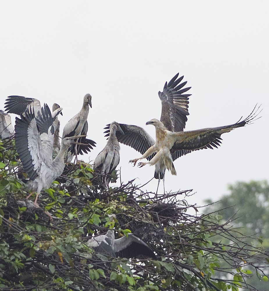 Photograph by Kaveesha Madhubhashana