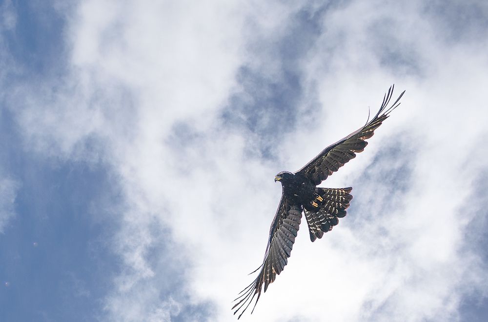 Photograph by Kaveesha Madhubhashana