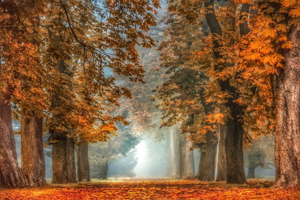 Photograph by Marco Galli