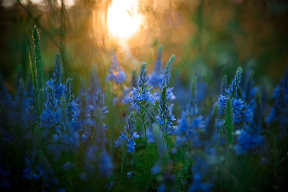 Фотография автора Наталья Ветошкина