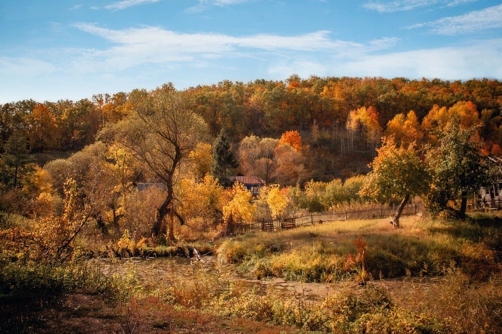 Photograph by Денис Шамров