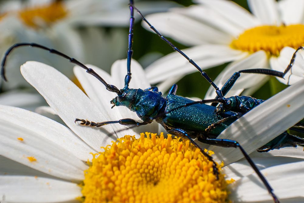 Photograph by Роман Приходько
