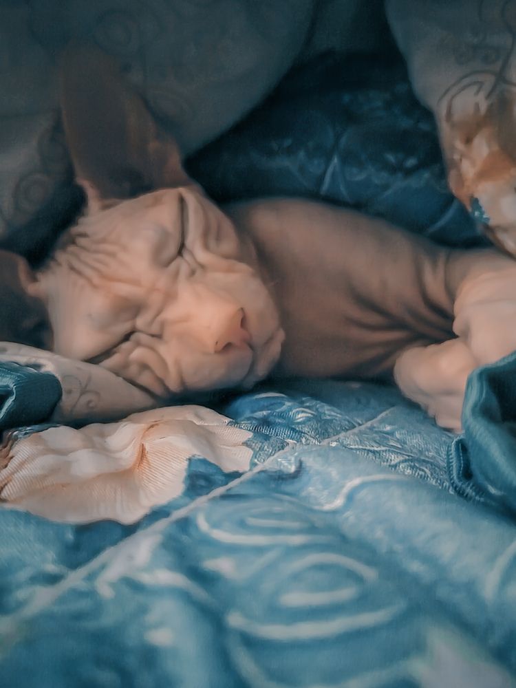 Фотография автора Наталья Королева