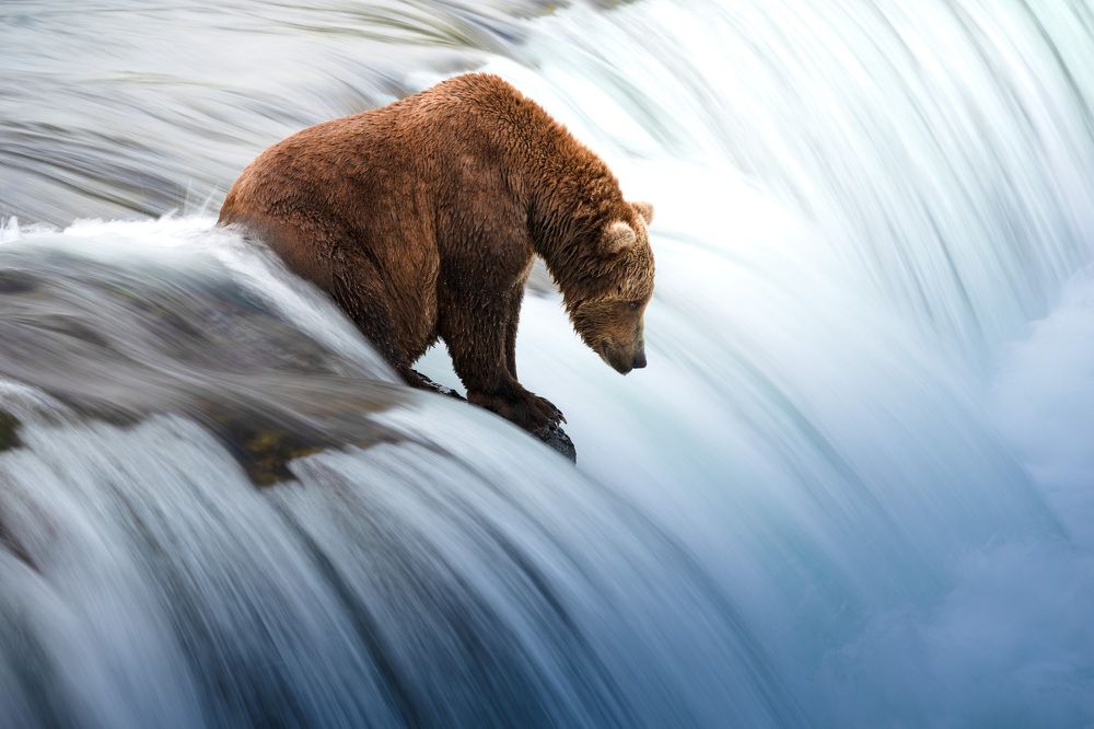 Photograph by Karthik Subramaniam