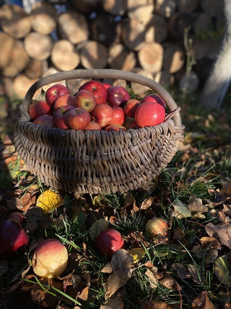 Photograph by танюшка русак (сыч)