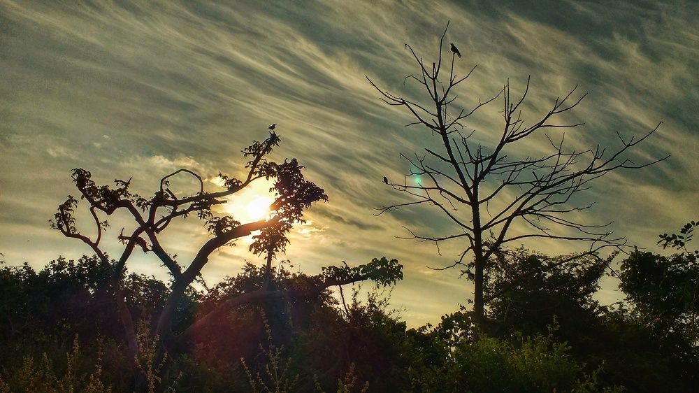 Photograph by Harshal Neman