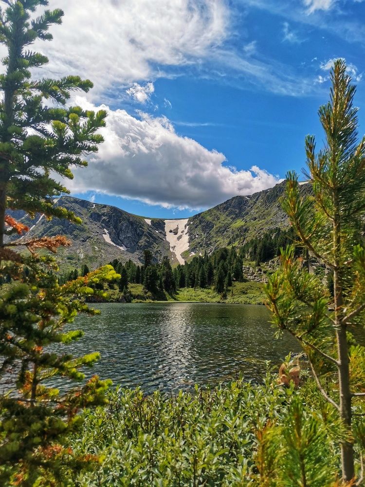 Фотография автора Регина Цыганова