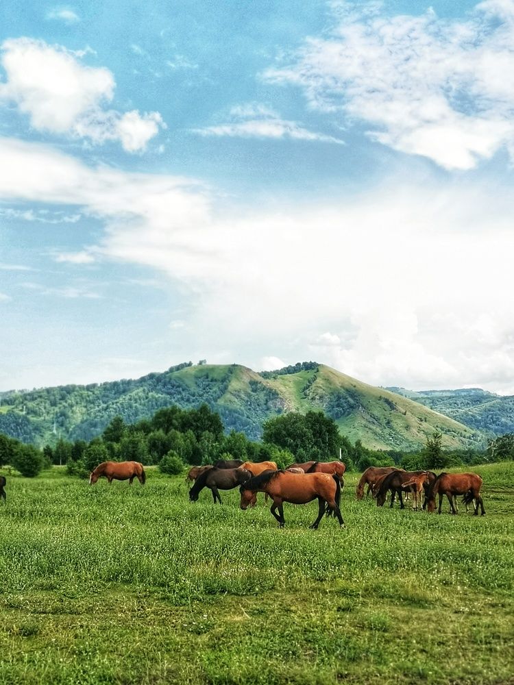 Фотография автора Регина Цыганова