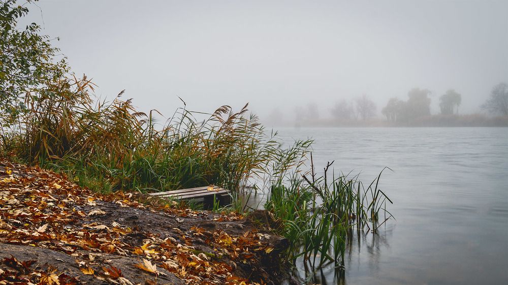 Photograph by Сергей Епишев