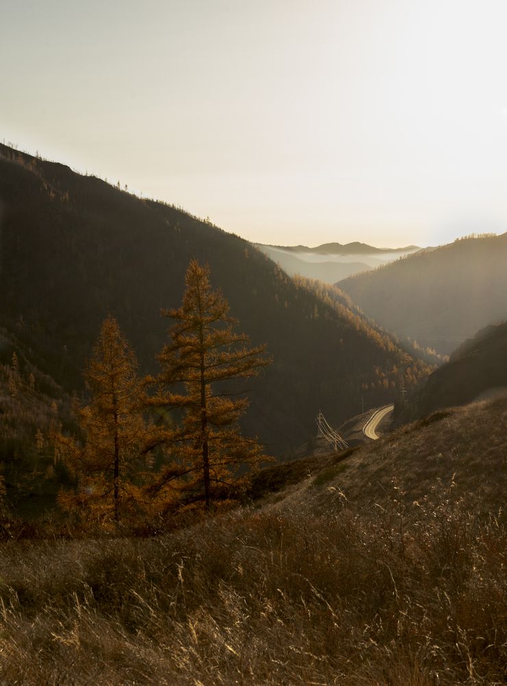 Photograph by Денис Карачёв