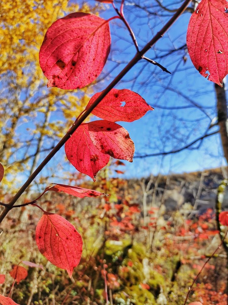 Photograph by Владимир Караман