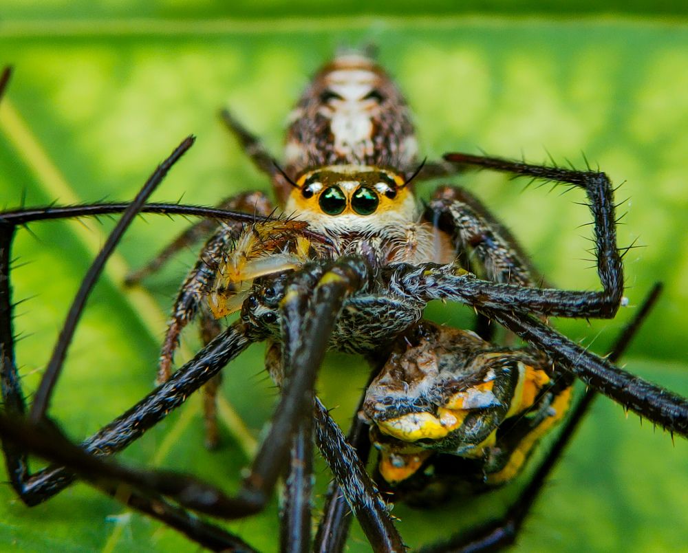 Photograph by Ajeesh A