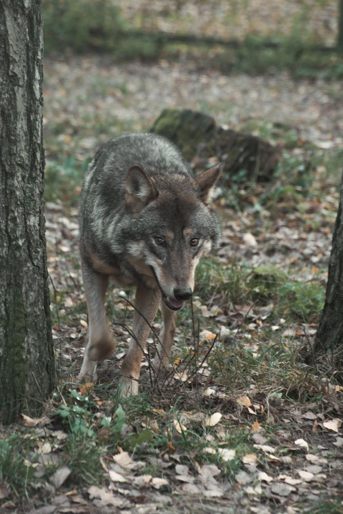 Фотография автора Ольга Круковская