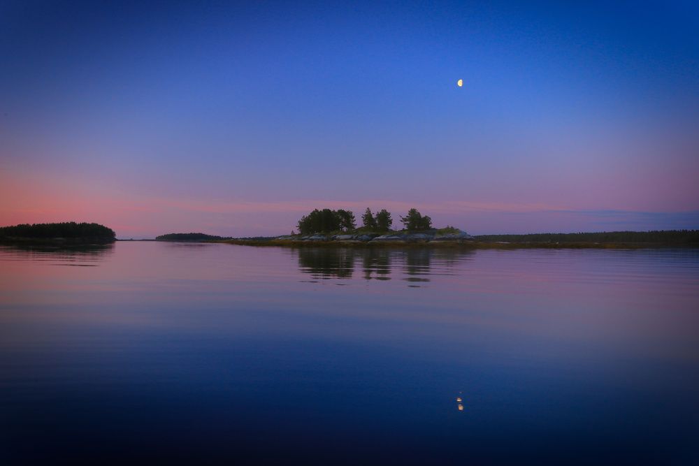 Ночная элегия