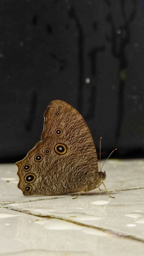 Фотография автора Ranjit pawar