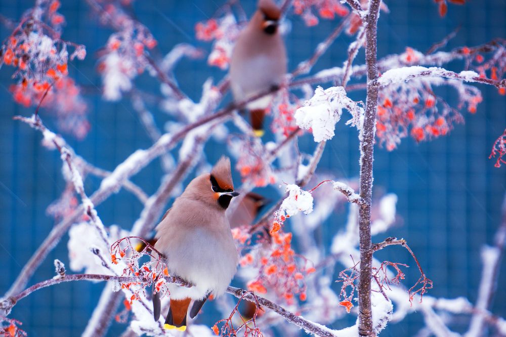 Photograph by Александр Кузнецов